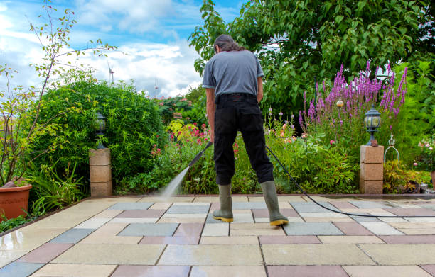 Best Animal Enclosure Cleaning  in Miles, TX
